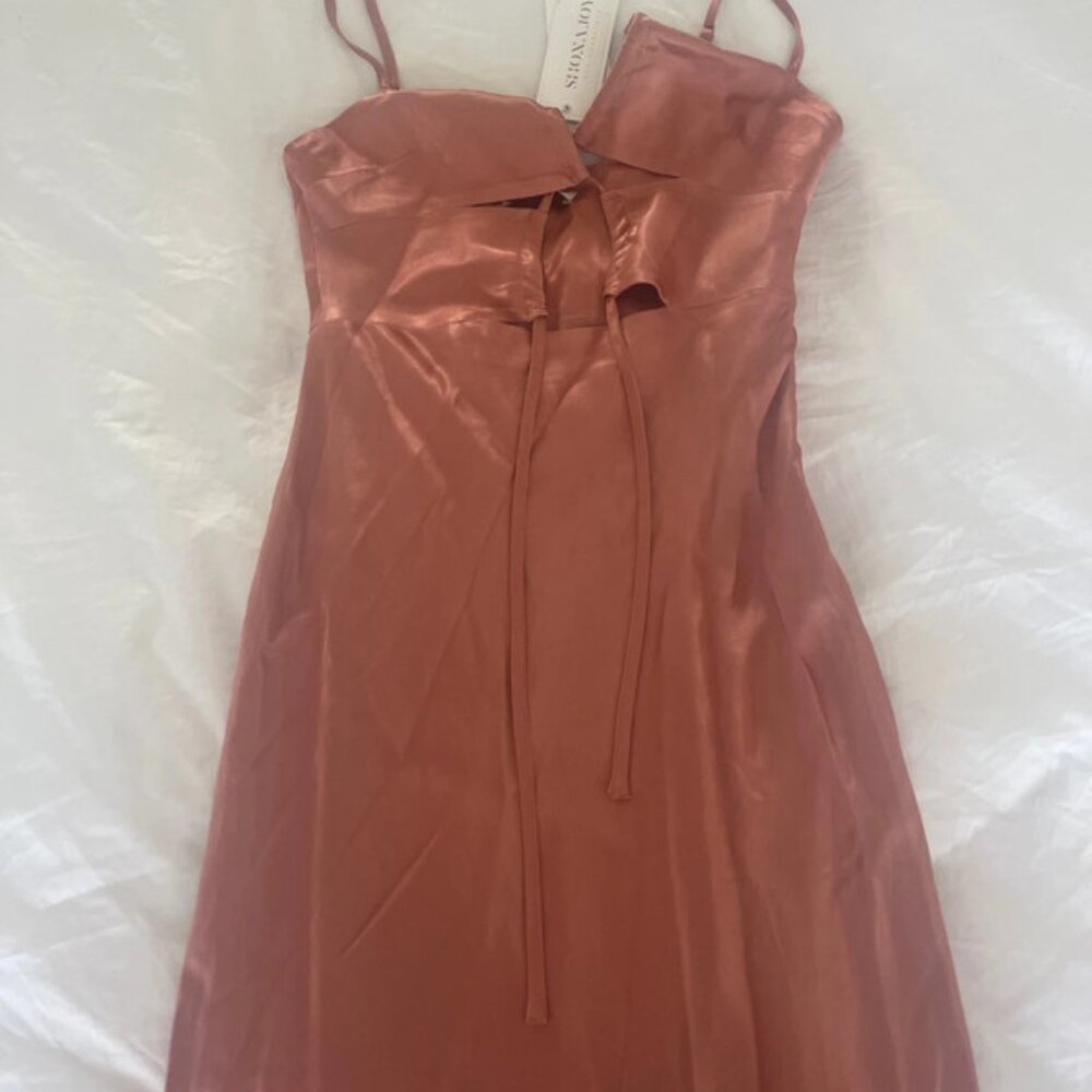 Shona Joy Eloise Dress